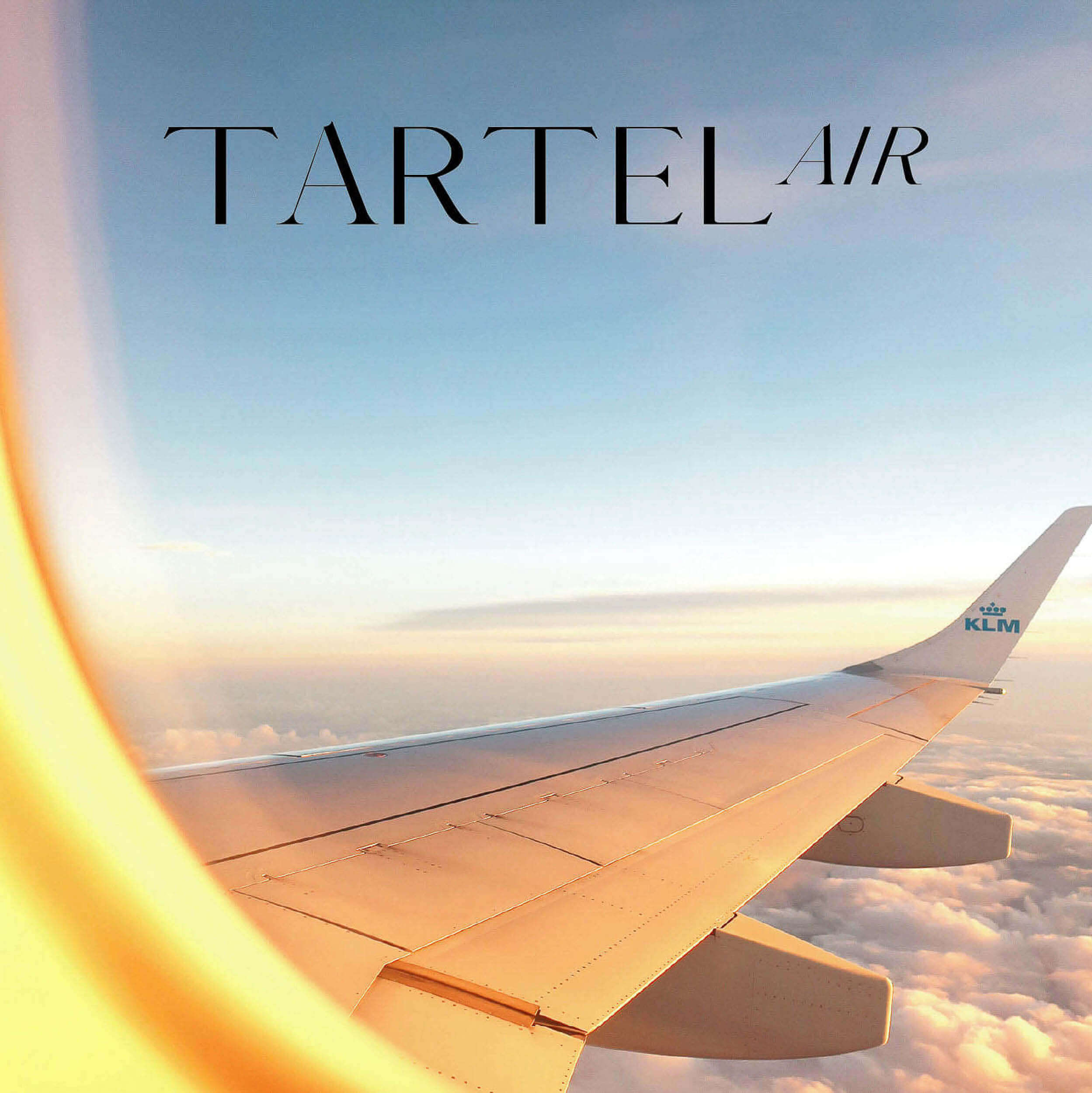 Das Logo von TARTELair, das durch den Service Logo Design entstand. Das Logo ist auf einem Foto abgebildet, das einen Flugzeugflügel über den Wolken zeigt.